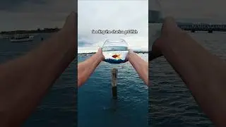 Give The Shark A Goldfish 😱