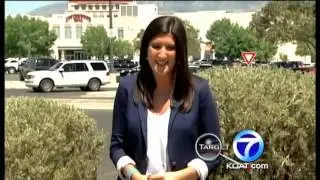 Target 7 follows up tattoo investigation