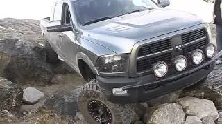 Carli Suspension 6