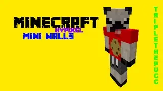 TEAM PUGG ARMY RULES!!  -=:=-  HYPIXEL MINI WALLS