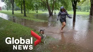 Tropical Storm Henri: Northeastern US inundated with heavy rainfall