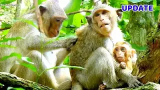 WOW...So sweet ! New mom Karita help nurse to Alberto lull for adopt baby Elpida