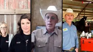 LIVE: Managing Horse Stress, Ulcers and More