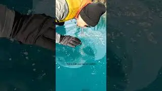How to make  your own ice bubbles 🤯🫧 🥶  #adventure #ice #bubble #bubbles #