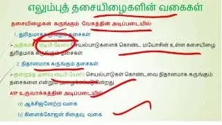 Types of skeletal muscle contraction & skeletal system & function 11 class tamil medium