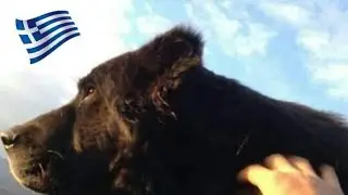 &Mu;&Omicron;&Lambda;&Omicron;&Sigma;&Sigma;&Omicron;&Sigma; &Tau;&Eta;&Sigma; &Eta;&Pi;&Epsilon;Ί&Rho;&Omicron;&Upsilon; 🇬🇷