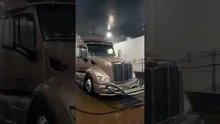 Nasty old truck // plastic fantastic Peterbilt mafia 579 ￼ #fyp #bigsexy #bugs #dirty