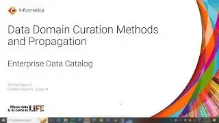 Data Domain Curation Methods and Propagation in EDC 10.5.x