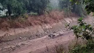 Black Bear Caught | Kawal Forest | Telangana