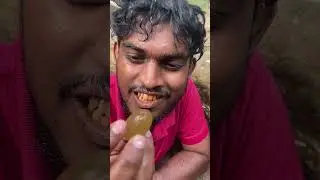 Best Finds of the Month Million $ Gems  #gemstones  #naturalgems #preciousstones #gem #minerals