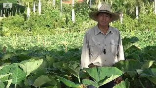 Una cooperativa en la que las familias invierten en el presente.