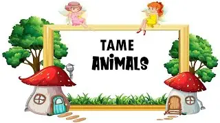 Tame Animals