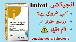 Emizol Injection  Uses In Cattle,Goat, Buffalo, Sheep| Best injection for Anaplasmosis Treatment