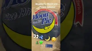 Has Anyone Ever Tried These? 👀🫐🌙🤤 #blueberry #moonpie #snacks #foodie #christmas #merrychristmas