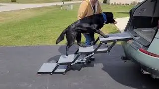 Pet Loader  Story - A Little  about Pet Loader