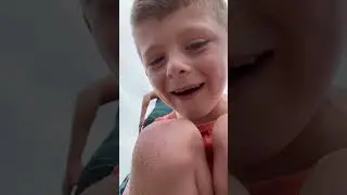 Pancake the Sea Turtle