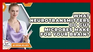 What Neurotransmitters Do Gut Microbes Make For Your Brain? - Gut Wellness Central