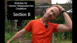 Stretches for chronic widespread pain - section B (upper limb and neck)