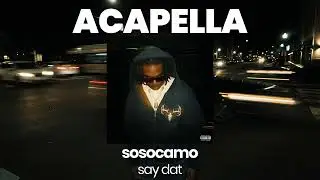 ACAPELLA BEAT : say dat - sosocamo (BPM 75, key Bb minor )