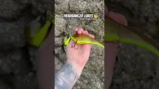 Headbanger Lure looks Awesome 🤟 @HeadbangerLures #shorts