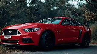 Mustang Runs Wild [4K] The Crowd Killer in INDIA