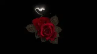 Immortal Memory
