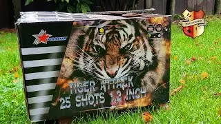 Tiger Attack - Pyrostar 25sh Waaier 30mm Vuurwerk