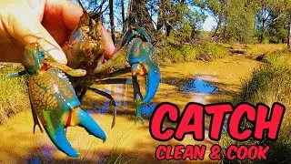 Catch clean cook T-bone Steak with Blueclaw !!!