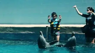 Gulf World - Experience of a Lifetime