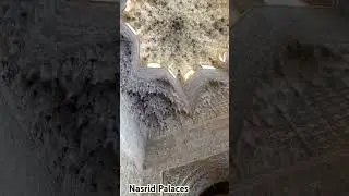 Nasrid Palaces