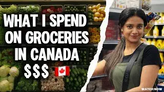 How much do I spend on Groceries in 🇨🇦#shoppingvlog #malayalam #canada #vlog