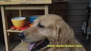 Big Mo's Tennis Ball Hunt Book Trailer