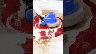 When rugs reveal their dirty secrets 💦 Part 1