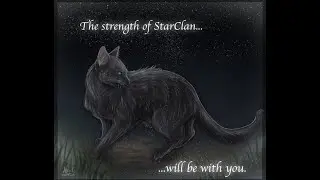 Top 10 Most Noble Warrior Cats