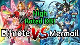 Elfnote Fiendsmith Vs Mermail High Rated DB