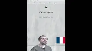 4000 Beginner French Sentences 28