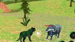 Lion games ll part-2 tiger fight vs Bull simulator 3D  game video