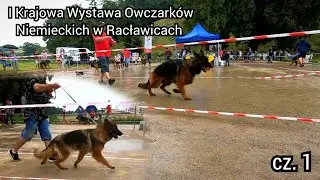 FANCLUB | I Krajowa Wystawa Owczarków Niemieckich w Racławicach | cz. 1