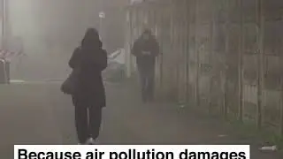 This is the link between air pollution and COVID-19.