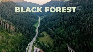 Best of BLACK FOREST by DRONE 🌲 | Linus Sorg & Matthias Schmid