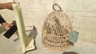 Dasi mast shikari ki awaz dasimadi hunting birds #female #hunting #hunt #sound #farmi #maskti