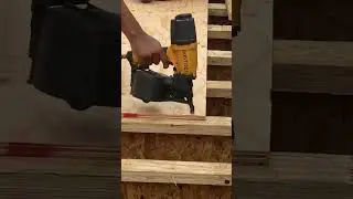 Plywood subfloor installation #toronto #installation #subfloor #plywood #carryminati #construction