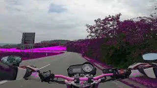Honda Hornet 600 - Sauerland