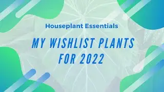 My Wishlist Plants for 2022 | Houseplant Essentials