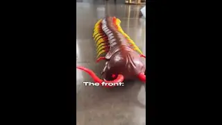 Terra RC Centipede🐛