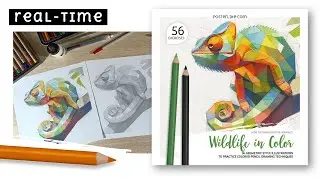 Real-Time Chameleon Drawing: Bring Wildlife to Life with Colored Pencils