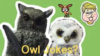 Jokes With Owls! (Interrupting Cow) EWMJ #701