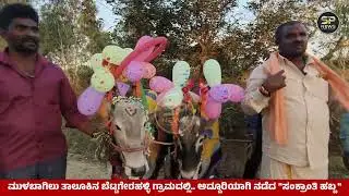 ಜೈ ಹಳ್ಳಿಕಾರ್ ಎಂದ ಯುವ ಮುಖಂಡ NAGESH || Mulbagal ಬೆಟ್ಟಗೇರಹಳ್ಳಿ ಗ್ರಾಮದಲ್ಲಿ ಅದ್ದೂರಿ ಸಂಕ್ರಾಂತಿ ಹಬ್ಬ