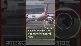 private jet #plane #privetjet #spicejet