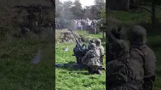 Flak 38 20 mm blank firing #military  #shorts
